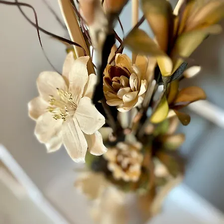 Villavecchia Отель типа 